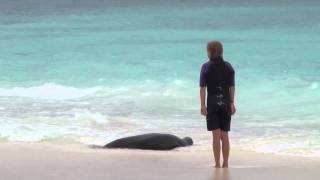 Jan Cousteau on Exploring the Galápagos Islands [upl. by Avirt]