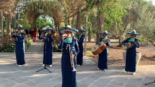 Hermoso Cariño  Mariachi Femenil Nuevo Tecalitlán [upl. by Groark639]