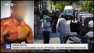 GREEK MAFIA ΟΙ ΔΟΛΟΦΟΝΙΕΣ ΠΟΥ ΕΓΙΝΑΝ ΣΤΗΝ ΕΛΛΑΔΑ [upl. by Amadas58]