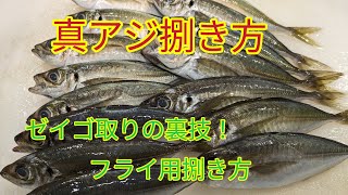 魚の捌き方真アジフライ開き [upl. by Bowles762]