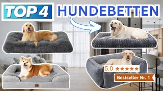 Beste HUNDEBETTEN 2024  Top 4 Hundebetten Vergleich [upl. by Hillari]