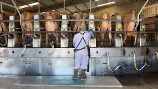 Dairy farms reduce climate impact with methane digesters but communities worry about effects [upl. by Aissac]