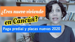 Cómo pagar tus SERVICIOS en Cancún PREDIAL PLACAS y TENENCIA [upl. by Fairley]