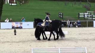 LipizzanerHerbstparade Piber 2013 [upl. by Weiss]