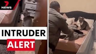 Adelaide couple finds curious koala in bedroom  7NEWS [upl. by Lambert]