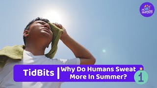 The Science Behind Sweating  Why do humans sweat more in summer  Tidbits [upl. by Zashin732]