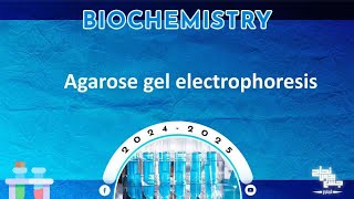 Pract 9 PCR and detection of amplified DNA agarose gel electrophoresis biochemistry [upl. by Ahseenak]