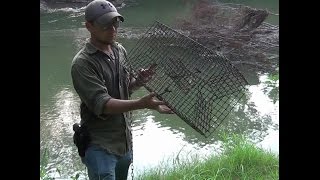 Kajun Krabtraps Medium Fish Trap Set Pt 1 [upl. by Yromas]