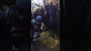 Gunung trusmadi via kaingaran tambunan shortvideo mountains hikingadventures [upl. by Pooley]