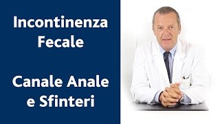 Anatomia del canale anale e muscoli sfinteri [upl. by Barbur739]