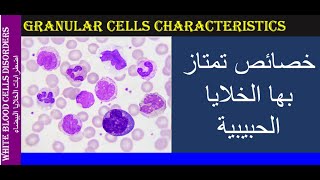 Lecture 3 2 Granular Cells Characteristics [upl. by Melac345]