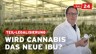 Kiffen auf Rezept Wie eine Berliner Firma mit Cannabis ihren Gewinn verdoppeln will [upl. by Jemmie]