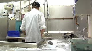 Dishwasher Career Video [upl. by Allan25]