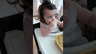 Hungry Kahani started solids with 🥑 🤩 6monthsold babyledweaning [upl. by Alessandro]