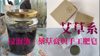 艾草系列：用艾草製作浸泡油、藥草膏與手工肥皂快速萃取浸泡油藥草膏手工皂不速T六個秘訣大公開Making Chinese mugwort infused oil balm and soap [upl. by Earle]