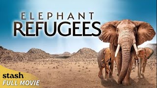 Elephant Refugees  Wildlife Documentary  Full Movie  Kalahari [upl. by Odericus760]