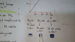 transport CO2 et O2  circulation pulmonaire physio [upl. by Harvey]