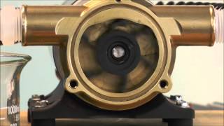 How a Jabsco Flexible Impeller Pump Works [upl. by Ellesor994]