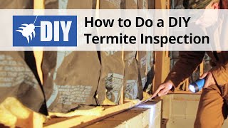 How to Do A Termite Inspection [upl. by Eicyal171]