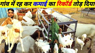 4 वर्ष मे 8 बोर से 100 अफ्रीकन बोर  2 एकड़ मे 12 तरह का हरा चारा  south african boer goat farming [upl. by Karub]