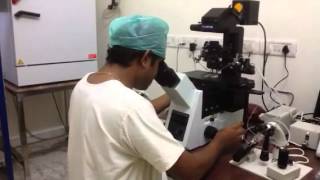 Latest ICSI machine narishige IX 73  Advanced ICSI Treatment India [upl. by Keenan492]