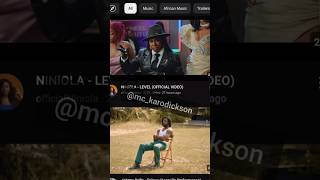 NINIOLA  LEVEL VIDEO Analyse niniola level afrobeats amapiano kedike afrofusion popstar [upl. by Harilda]