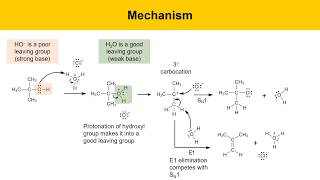 SN1 Reaction Experiment Synthesis of tertButyl Chloride Part 1 Prelab Lecture [upl. by Tijnar]