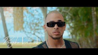 Afro B x Ozuna  Drogba quotJoannaquot GLOBAL LATIN VERSION DjCalo Extended [upl. by Hcirdla]