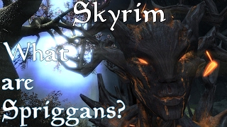 Theories Legends and Lore Skyrim What are Spriggans [upl. by Havot]