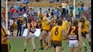 1986 Exhibition Game  WAFL  Subiaco v Hawthorn [upl. by Nachison873]