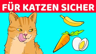 10 Menschliche Lebensmittel Die Gut Für Katzen Sind [upl. by Peppard]