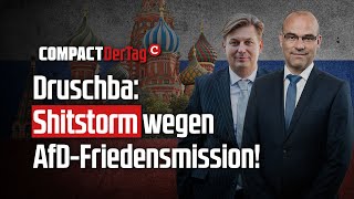 Druschba Shitstorm wegen AfDFriedensmission💥 [upl. by Rohclem]