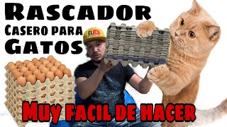 Rascador para Gatos CASERO HECHO CON CUBETAS DE HUEVOS [upl. by Adnilema]