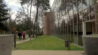 INSEAD MBA Career Development [upl. by Notgnihsaw852]