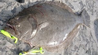 Inlet Flounder Fishing  6pound Fluke on the Rocks [upl. by Boot]