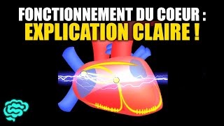 🔴 La Physiologie Cardiaque Expliquée Très Clairement par Dr Astuce [upl. by Allerim18]