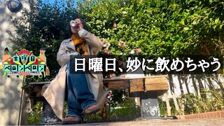 【新卒2年目23歳アル中】 日曜日ダラダラ飲む [upl. by Ennasirk]