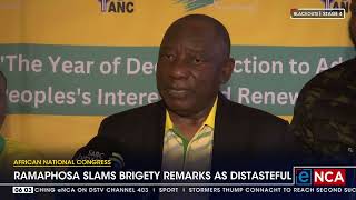 Ramaphosa slams Brigety remarks as distasteful [upl. by Eladroc576]