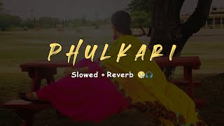 RANJIT BAWA  Phulkari SlowedReverb 🎧🤎 [upl. by Yvehc]