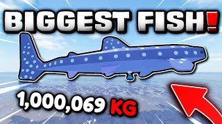 I GOT THE BIGGEST FISH IN ROBLOX FISCH [upl. by Ahtenek]