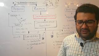 Exothermic and Endothermic reaction  exothermic and endothermic reaction class11  Thermochemistry [upl. by Villiers]