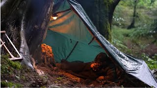 Build tent Shelters and Camping alone during 24 hours of heavy rain [upl. by Yunick11]