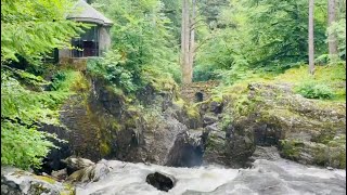 The Hermitage Black Linn Falls Dunkeld Scotland [upl. by Armington]