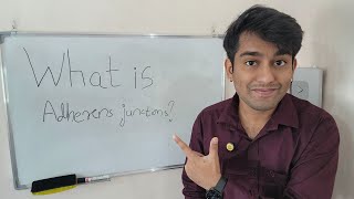 Learn What is Adherens Junctions  Adherens Junction Connecting and Strengthening Cells biology [upl. by Jenda]