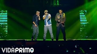 DON OMAR feat DADDY YANKEE  DESAFIO  HECHO EN PUERTO RICO [upl. by Rahr]