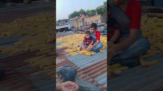 Tere isqh me nachenge reelsvideo villagelife [upl. by Drofnelg819]