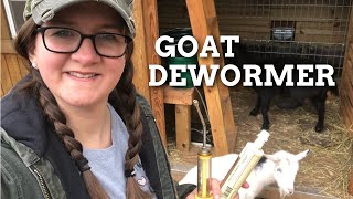 DEWORMING GOATS 🐐 [upl. by Bernetta531]