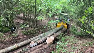 Forestry 2023  Deutz DX 85  Uniforest 55 Hpro  Stihl 044 [upl. by Ahcsim]