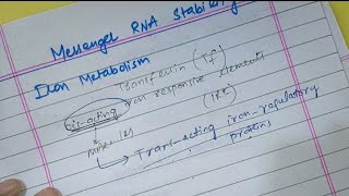 Regulation of eukaryotic gene expressionmRNA stabilityPart 5Lippincott Biochemistry [upl. by Priestley]