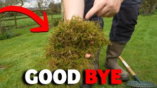 Best way to get rid of moss from ANY lawn [upl. by Caressa]